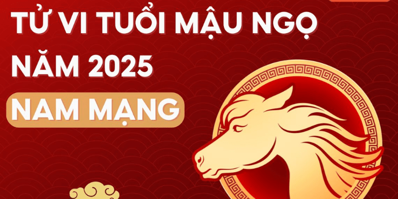 Tổng Quan Tử Vi Tuổi Mậu Ngọ Năm 2025 Nam Mạng
