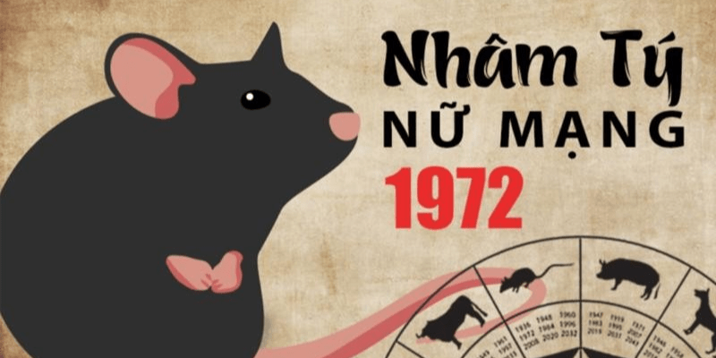 Tổng Quan Về Tử Vi Tuổi Nhâm Tý Nữ Mạng Năm 2025