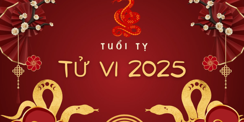 Tổng quan tử vi tuổi Kỷ Tỵ năm 2025 nam mạng