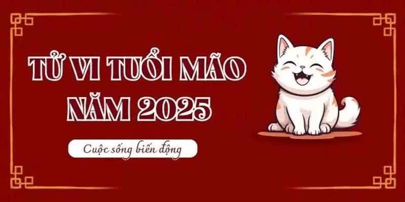 Tổng quan về tử vi tuổi Mão 1987 năm 2025 nam mạng