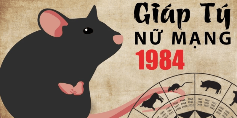 Tử Vi Tuổi Giáp Tý Năm 2025 Nữ MạngTình Duyên Và Gia Đạo