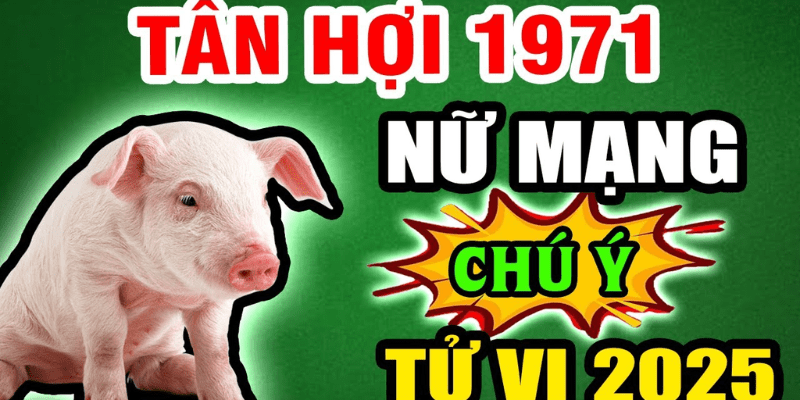 Tử Vi Tuổi Tân Hợi 1971 Nữ Năm 2025 Sao Kế Đô Chiếu Mệnh