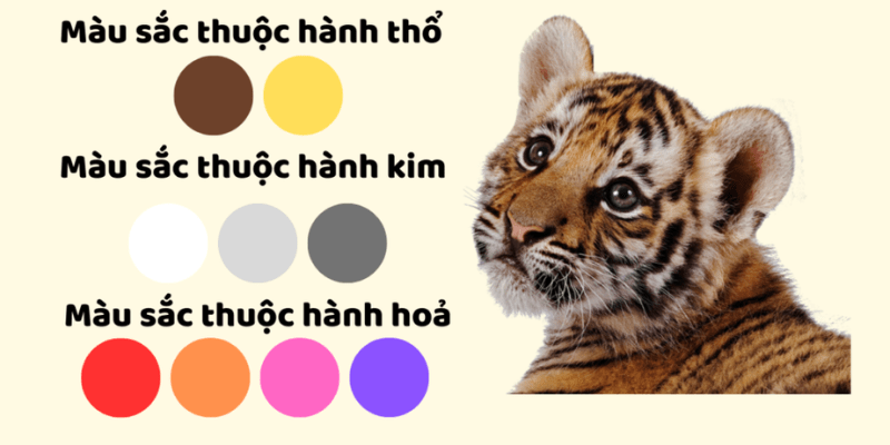 1998 mệnh gì hợp màu gì? Những màu sắc giúp tăng vận khí