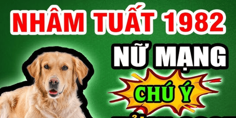 Vận hạn và cách hóa giải cho tuổi Nhâm Tuất nữ mạng năm 2025
