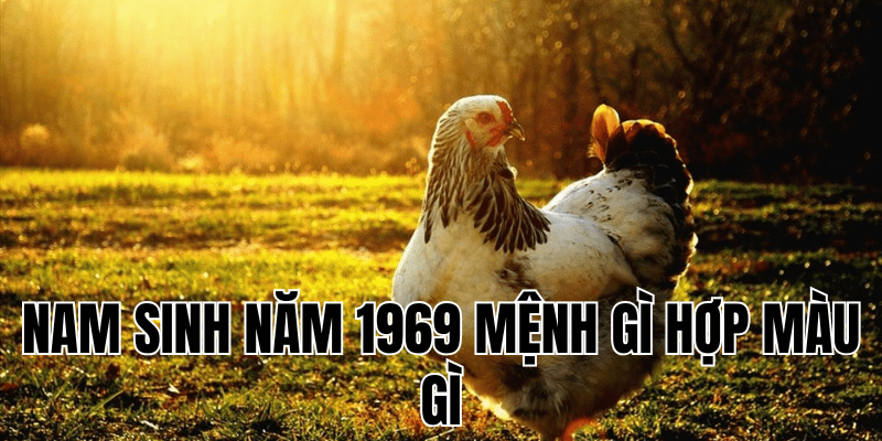 nam sinh năm 1969 mệnh gì hợp màu gì