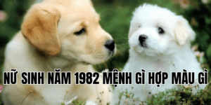 nữ sinh năm 1982 mệnh gì hợp màu gì