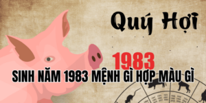 sinh năm 1983 mệnh gì hợp màu gì