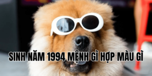 sinh năm 1994 mệnh gì hợp màu gì