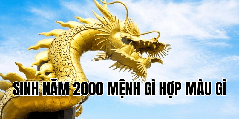 sinh năm 2000 mệnh gì hợp màu gì