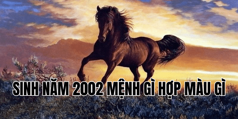 sinh năm 2002 mệnh gì hợp màu gì