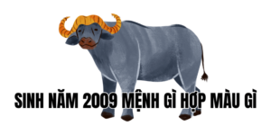 sinh năm 2009 mệnh gì hợp màu gì