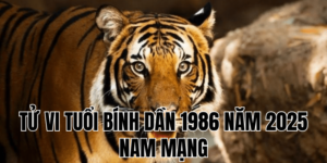 tử vi tuổi bính dần 1986 năm 2025 nam mạng