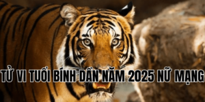 tử vi tuổi bính dần năm 2025 nữ mạng