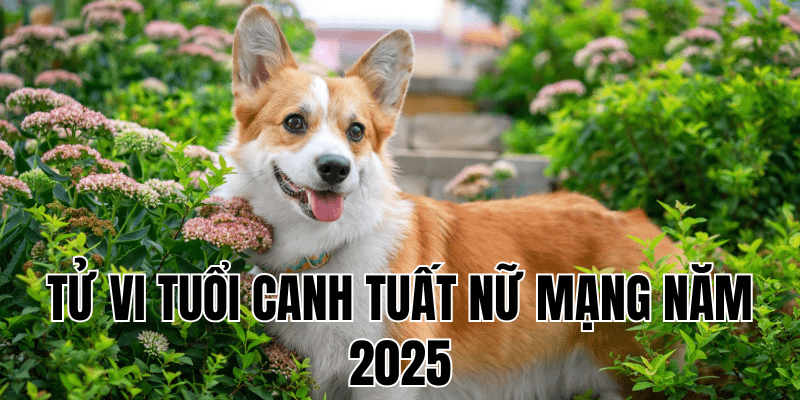 tử vi tuổi canh tuất nữ mạng năm 2025