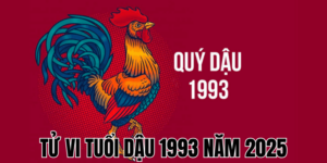 tử vi tuổi dậu 1993 năm 2025