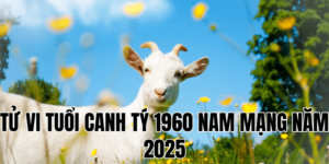 tử vi tuổi đinh mùi 1967 nam mạng năm 2025