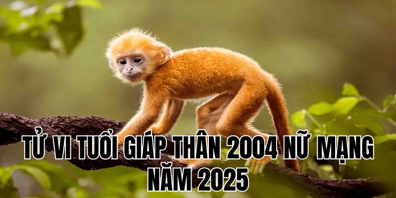 tử vi tuổi giáp thân 2004 nữ mạng năm 2025