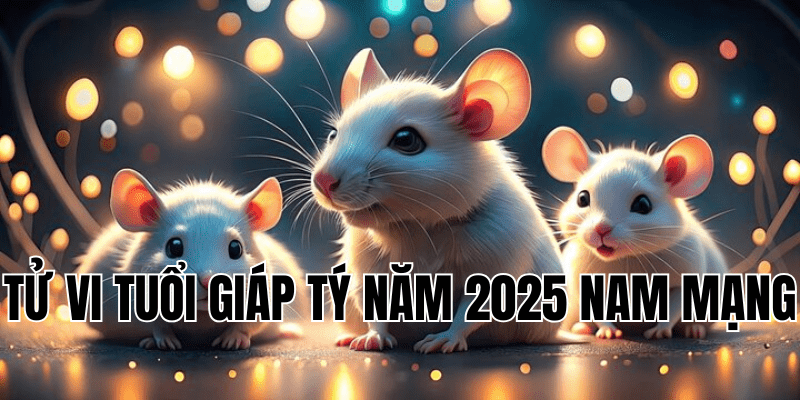 tử vi tuổi giáp tý năm 2025 nam mạng