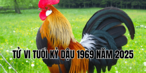 tử vi tuổi kỷ dậu 1969 năm 2025