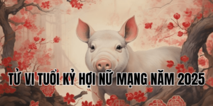 tử vi tuổi kỷ hợi nữ mạng năm 2025