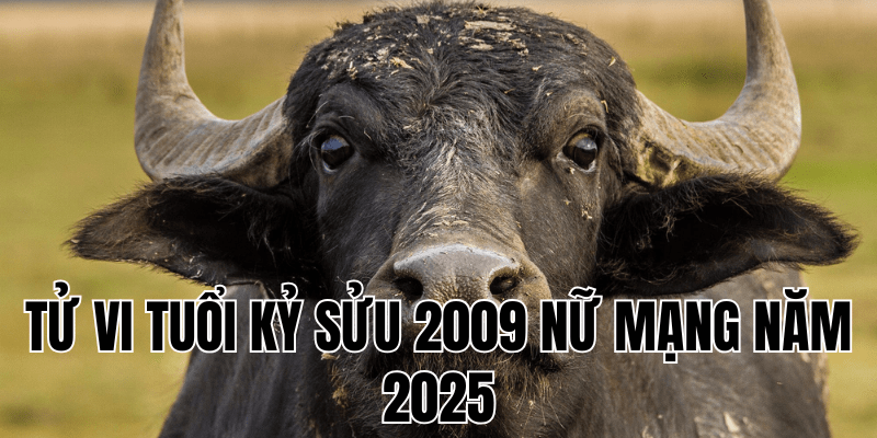 tử vi tuổi kỷ sửu 2009 nữ mạng năm 2025