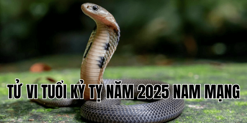 tử vi tuổi kỷ tỵ năm 2025 nam mạng