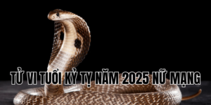 tử vi tuổi kỷ tỵ năm 2025 nữ mạng