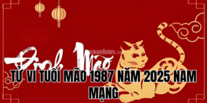 tử vi tuổi mão 1987 năm 2025 nam mạng