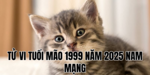 tử vi tuổi mão 1999 năm 2025 nam mạng