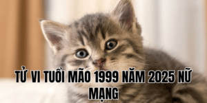 tử vi tuổi mão 1999 năm 2025 nữ mạng