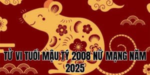 tử vi tuổi mậu tý 2008 nữ mạng năm 2025