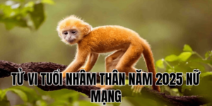 tử vi tuổi nhâm thân năm 2025 nữ mạng