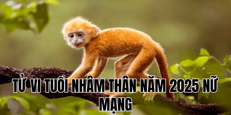 tử vi tuổi nhâm thân năm 2025 nữ mạng