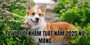 tử vi tuổi nhâm tuất năm 2025 nữ mạng