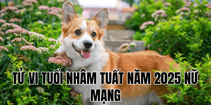 tử vi tuổi nhâm tuất năm 2025 nữ mạng