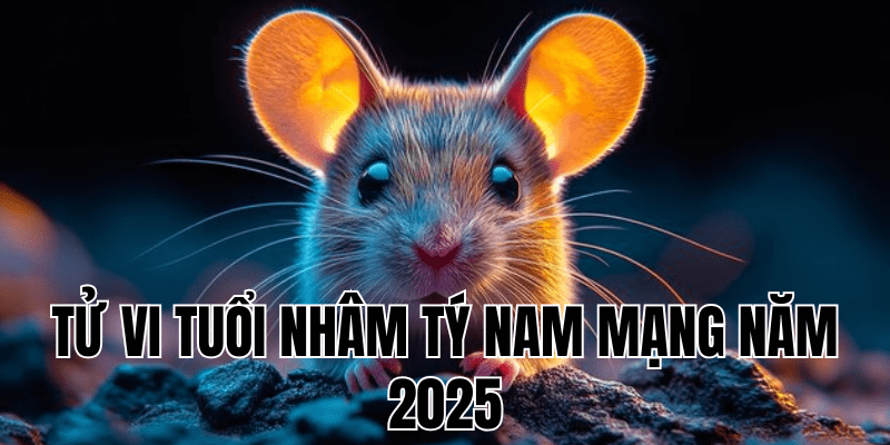 tử vi tuổi nhâm tý nam mạng năm 2025