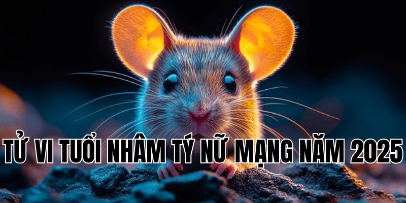 tử vi tuổi nhâm tý nữ mạng năm 2025