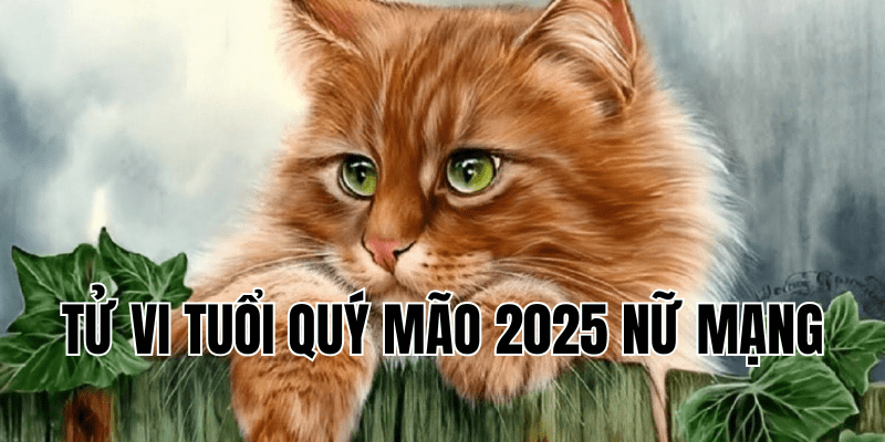 tử vi tuổi quý mão 2025 nữ mạng