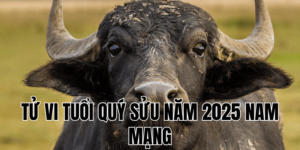 tử vi tuổi quý sửu năm 2025 nam mạng