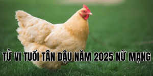 tử vi tuổi tân dậu năm 2025 nữ mạng