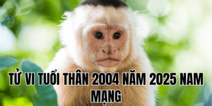 tử vi tuổi thân 2004 năm 2025 nam mạng